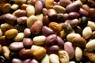 a close up of endemic sort of beans, beans seed of various colors