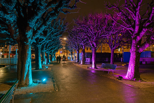 Beleuchtete Bäume a der Seepromenade, Luzern, Schweiz