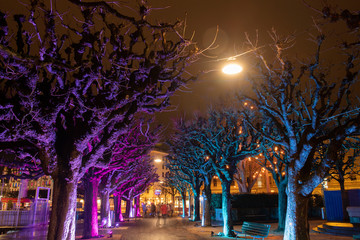 Beleuchtete Bäume an der Seepromenade, Luzern, Schweiz