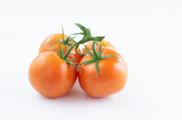 Tomatoes on the vine isolated