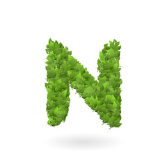 N letter of vector nature green eco leaves