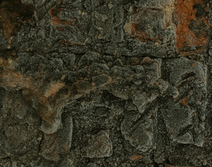 Old wall background 