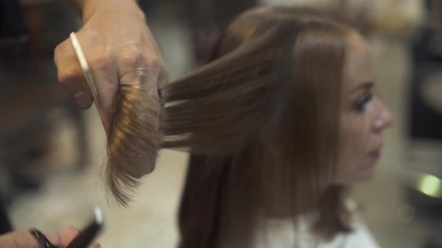 Hairdresser combing and cutting long hair with scissors in barbershop. Woman haircut and care in beauty studio. Young woman receiving haircut in hairdressing salon. Beauty industry.