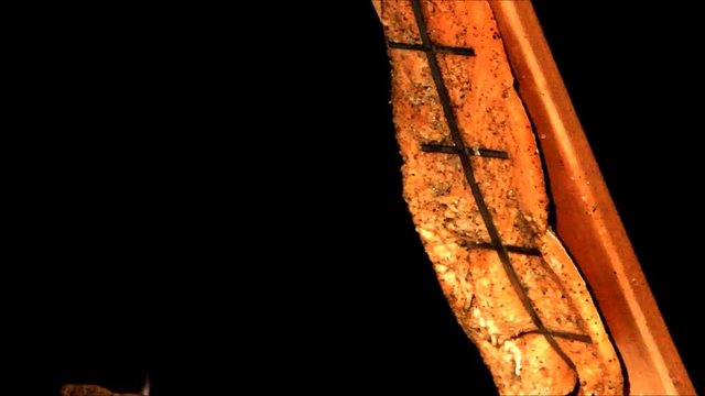 salmon on open fire, close up, flammlachs