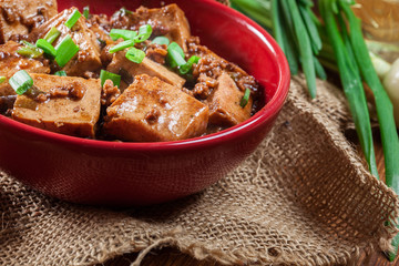 Mapo Tofu - sichuan spicy dish
