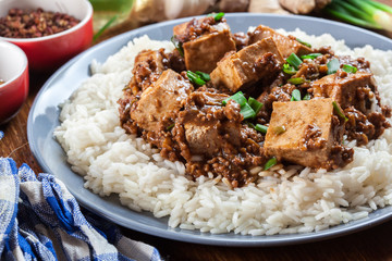 Mapo Tofu - sichuan spicy dish served with rice