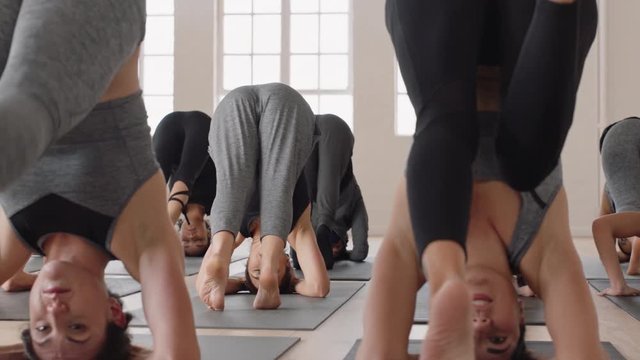 yoga class group of multiracial women practicing supported headstand pose enjoying healthy lifestyle exercising in fitness studio meditation