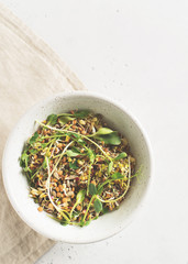 Sprouts of different seeds with green leaf in bowl