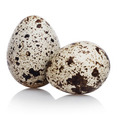 Obraz premium Quail eggs, isolated on white background