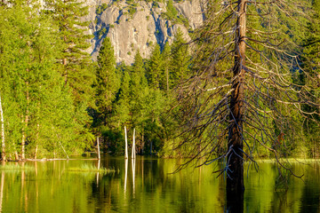Merced River landscape in Yosemite