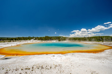 Obraz premium Hot thermal spring in Yellowstone