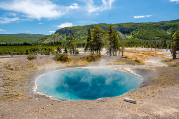 Hot thermal spring in Yellowstone