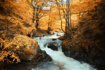Autumn in old mountain , Bulgaria, Europe