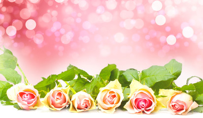 Pink Roses before Bokeh, greeting card Valentine's Day