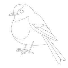 flycatcher bird, vector illustration, lining draw,profile 
