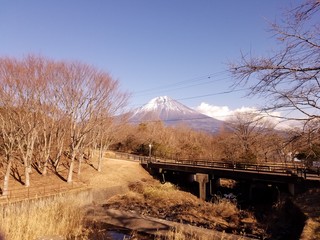 富士山