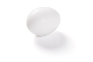 one white egg with a shadow on a white background