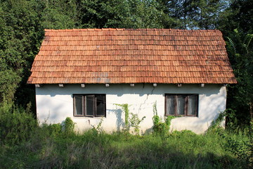 Fototapeta na wymiar Abandoned small family house with cracked facade and broken windows completely surrounded with overgrown grass and other forest vegetation on warm sunny day