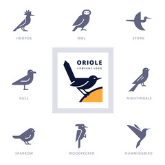 Set of various bird symbols and logo design elements for company and organizations. Collection icons with birds. © Liudmyla Klymenko