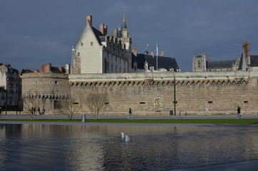 Fototapete bei efototapeten.de bestellen   