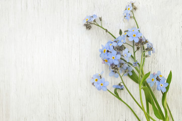 Spring blue forget-me-nots flowers posy on light wooden background, selective focus