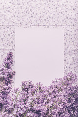 Spring flowers. Lilac flowers petals on white fabric background. Top view, flat lay