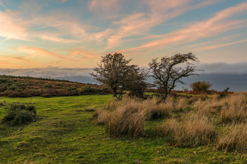 Evening dust over the landscape in the Exmoor National Park on Porlock Hill, Somerset, England, UK