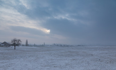 Winter. Morning. Snow. Field. Cold