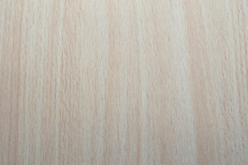 Surface texture of artificial wood wall made of plastic