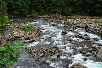 Mountain River rages on rocks on a sunny day