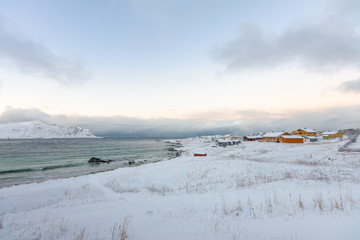 Landscape winter with snow and colourful house village Lofoten Norway