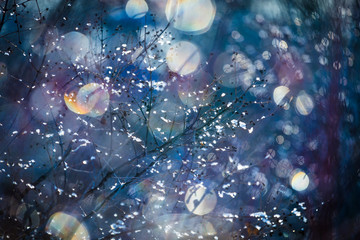 Purposely defocused bokeh beautiful colorful art background - photo of branch without leaves covered with ice on a sunny winter day. Backdrop. 