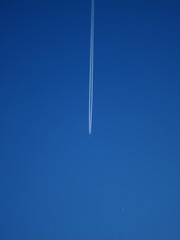 Plane flying in the sky