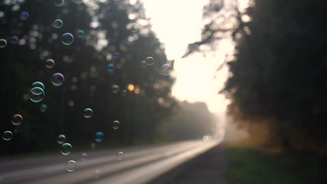 Soap-bubbles fly along the forest road, peaceful nature, dreaming time