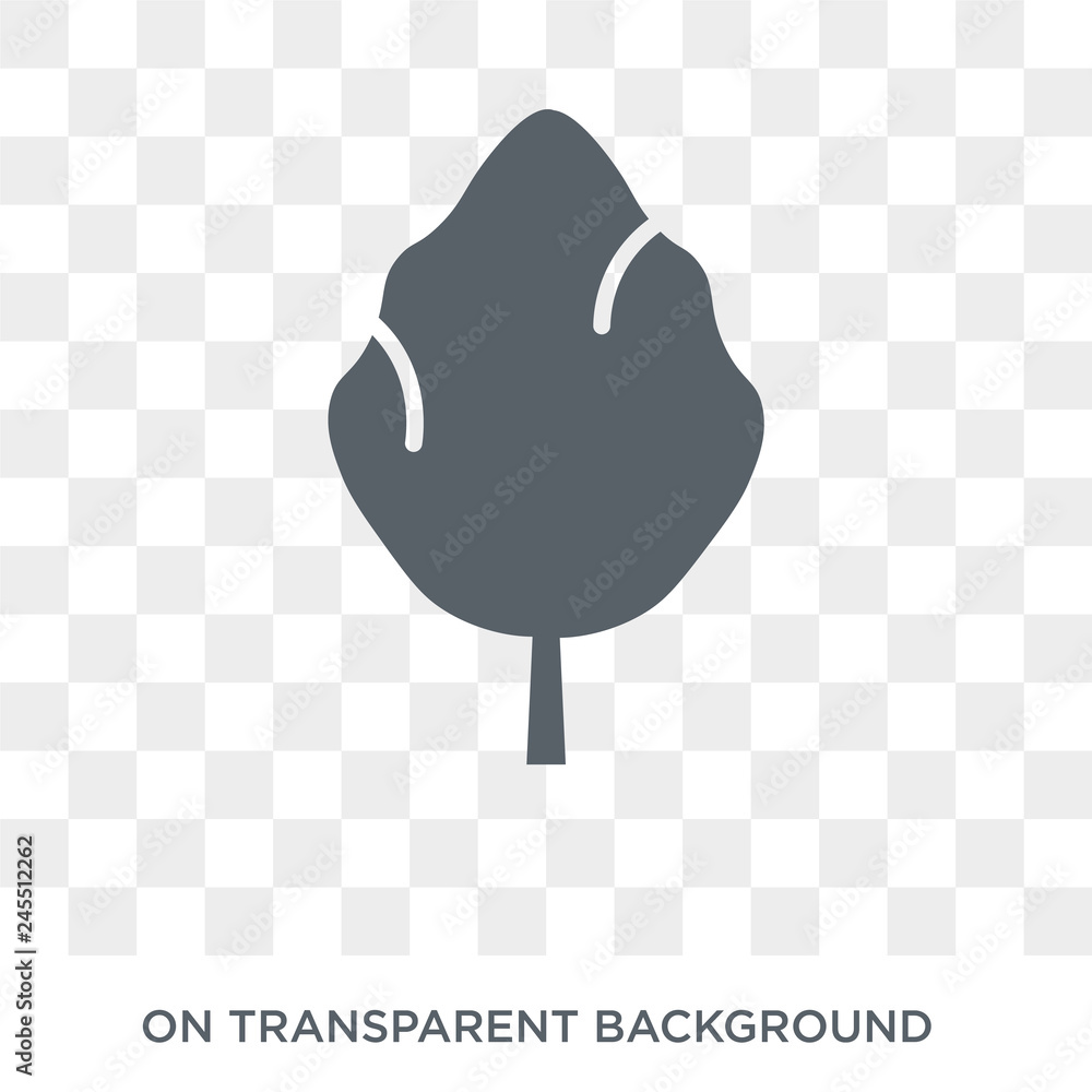 Poster poplar icon. trendy flat vector poplar icon on transparent background from nature collection. high q