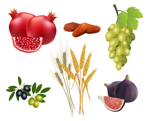 Seven species of Israel 