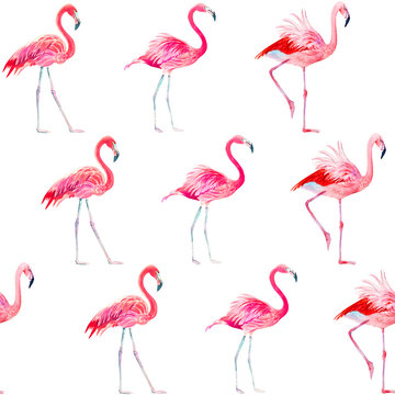 Seamless pattern watercolor exotic bird pink flamingo. © Liliya