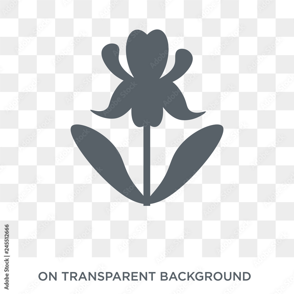 Poster iris icon. trendy flat vector iris icon on transparent background from nature collection. high quali