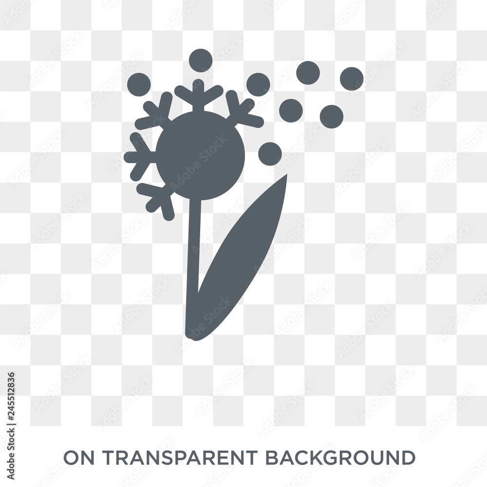 Poster dandelion icon. trendy flat vector dandelion icon on transparent background from nature collection. 