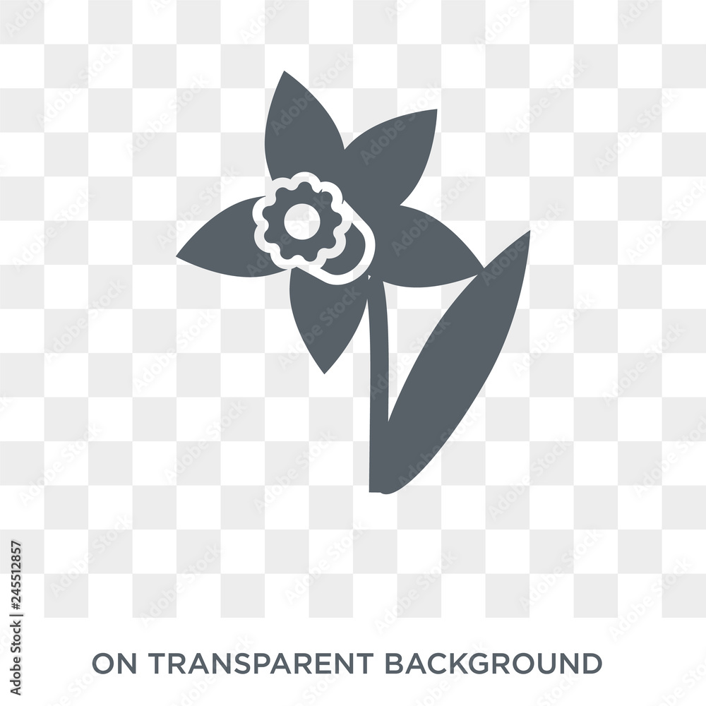 Poster daffodil icon. trendy flat vector daffodil icon on transparent background from nature collection. hi