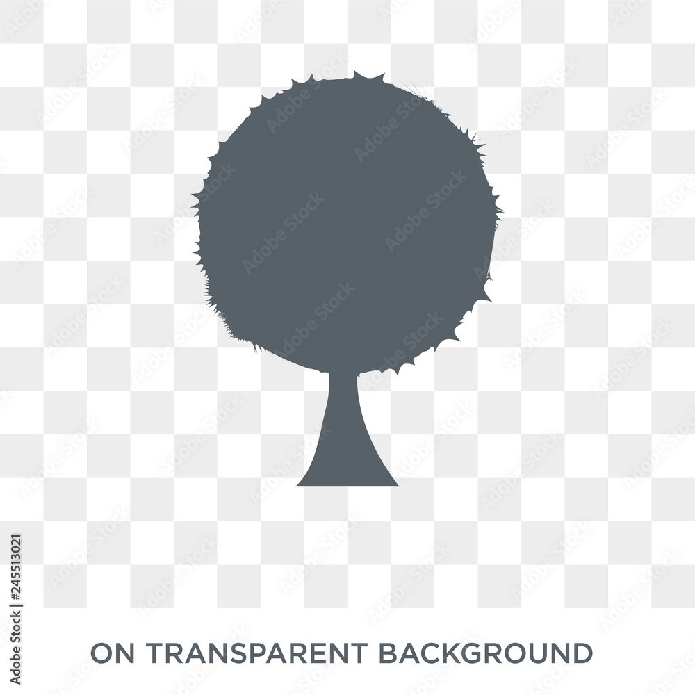 Poster beech icon. trendy flat vector beech icon on transparent background from nature collection. high qua