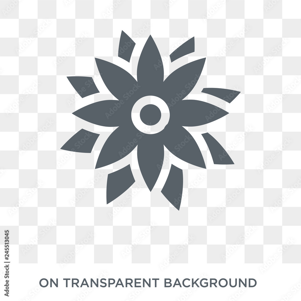 Poster astrantia icon. trendy flat vector astrantia icon on transparent background from nature collection. 