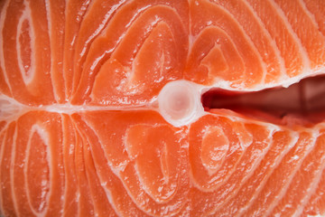 Fresh salmon texture