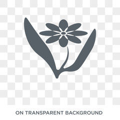 Botanical icon. Botanical design concept from Museum collection. Simple element vector illustration on transparent background.