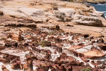 Rotes Gestein - Küstenabschnitt des Bouddi Nationalpark