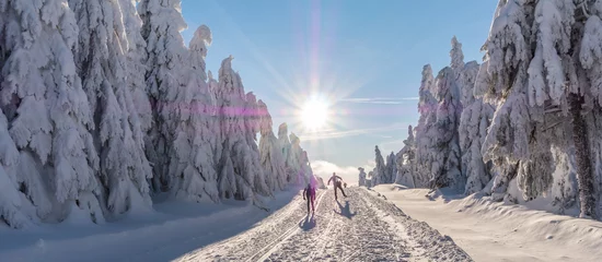 Foto op Canvas Wintersport Loipe im Erzgebirge © Animaflora PicsStock