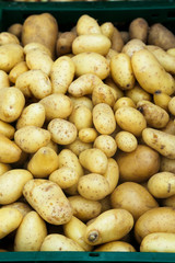 Baby potato, farmers market