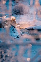 Icy winter river trough frosty branches