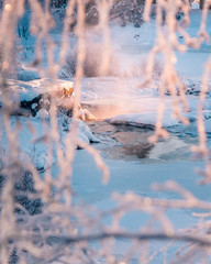 Icy winter river trough frosty branches