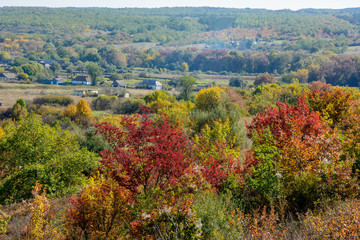 Obraz premium Autumn landscapes of the valley near the Russian-Orlovka in the Donbass 6